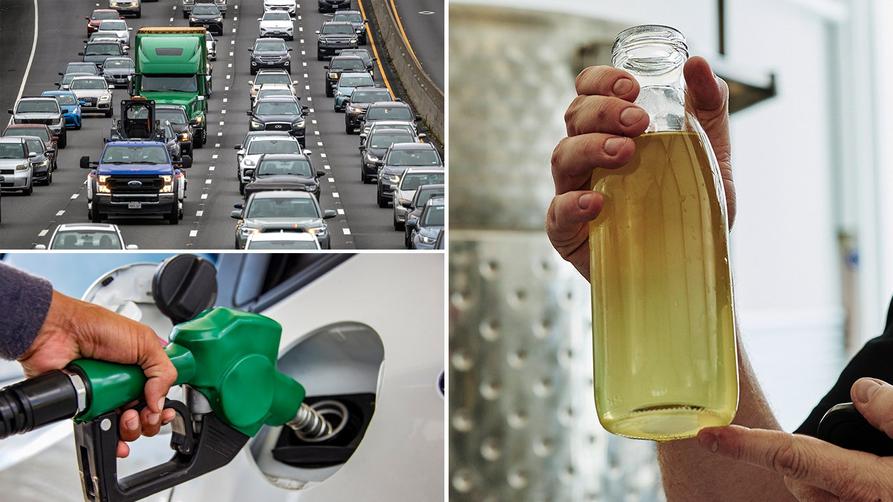 Auto-moo-biles? Ethanol made from milk coming soon to Michigan
