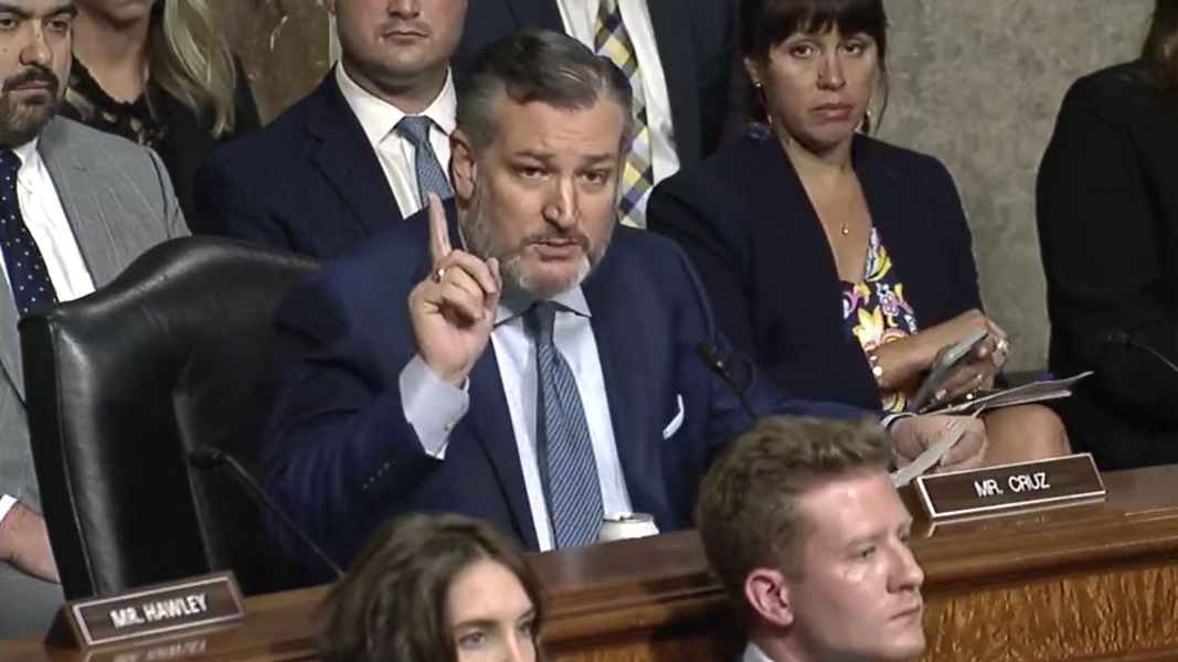 Ted Cruz spars with civil rights org leader on if men, women are physically different: 'You’re not answering'