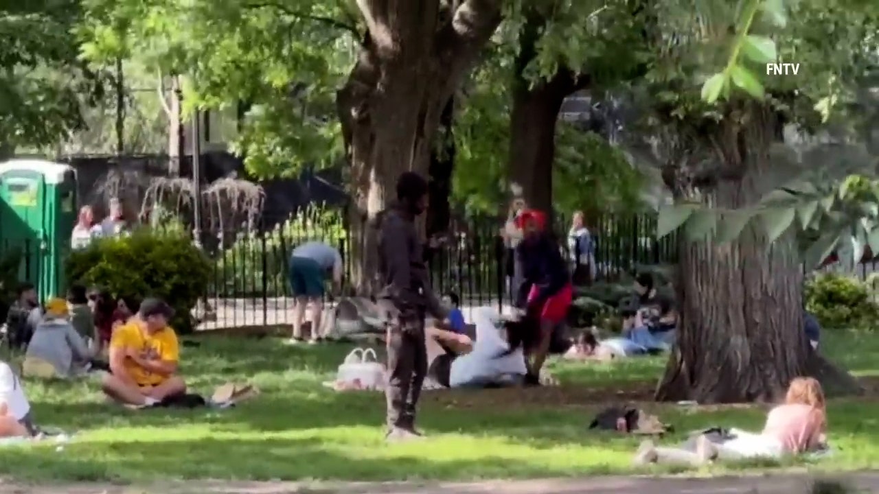 New York woman lunges at mother and baby in park during violent rampage: video