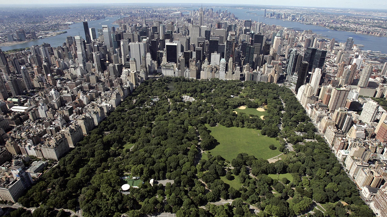 News :Central Park dispute between NYC dog walkers ends with pet stabbed to death: reports