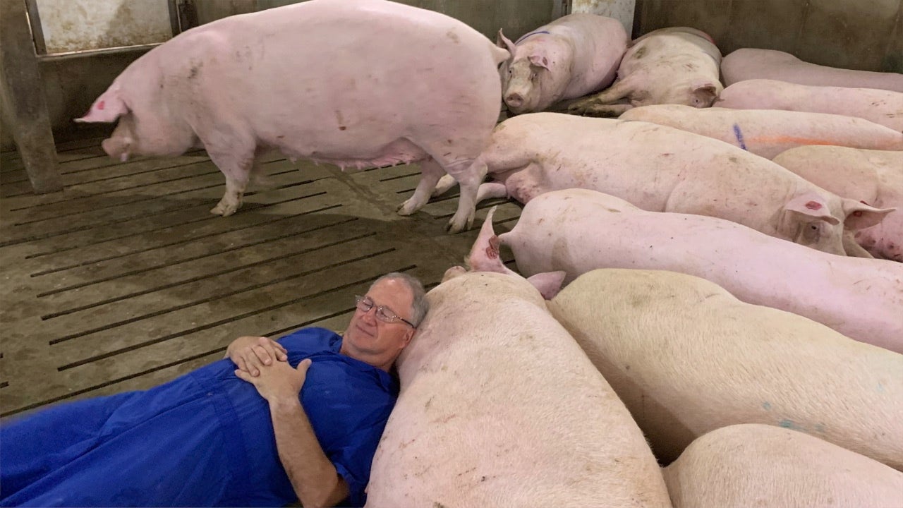 Iowa pig farmer warns Supreme Court upholding 'troubling' California law will raise prices, destroy businesses