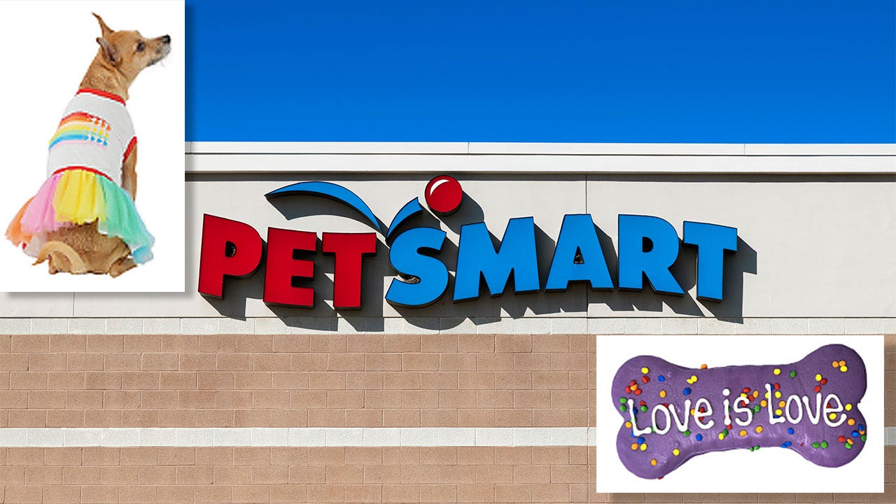 L.A. news anchors chuckle at backlash to PetSmart for LGBTQ dog bikinis: 'Is Doomsday Clock at midnight yet?'