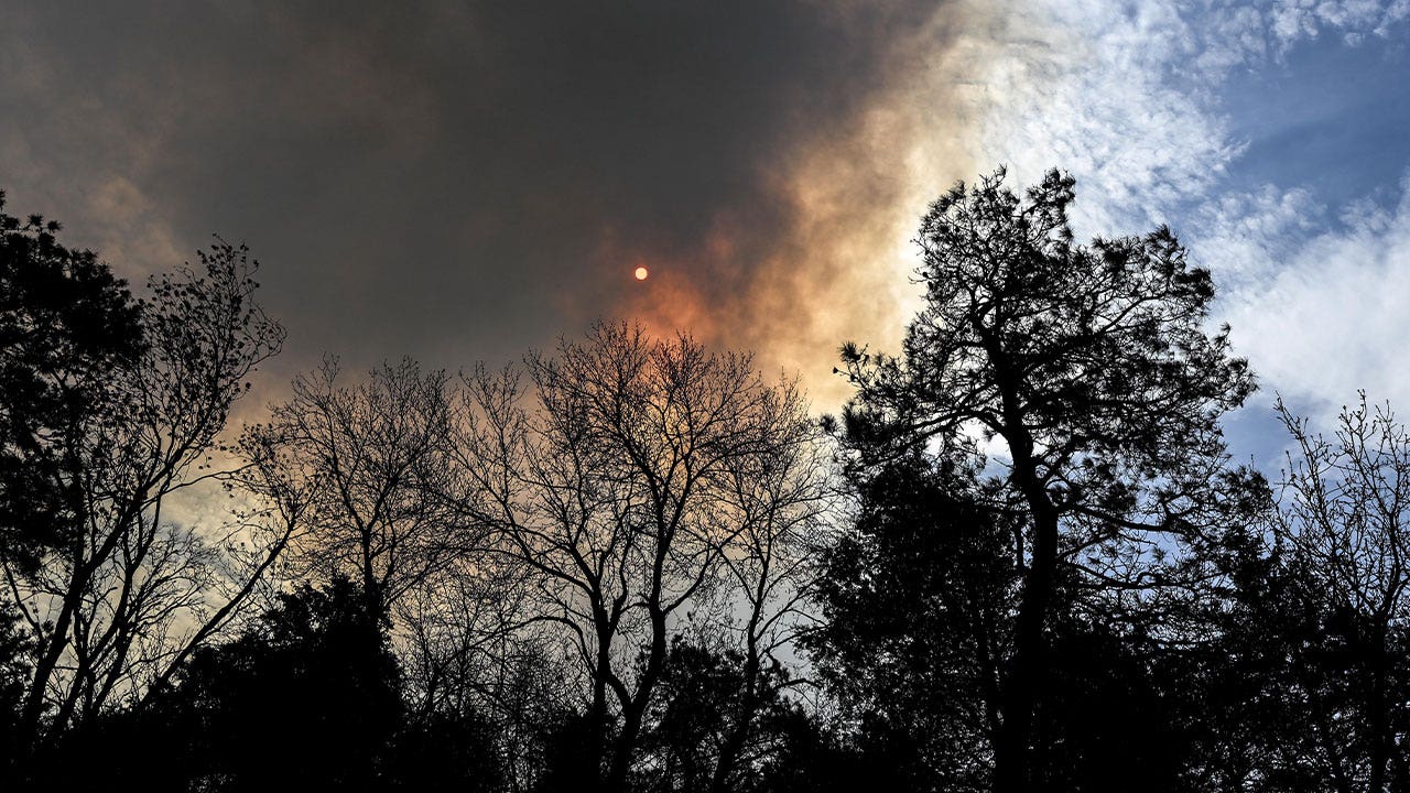 2 forest fires in New Jersey Pinelands almost completely contained, authorities say