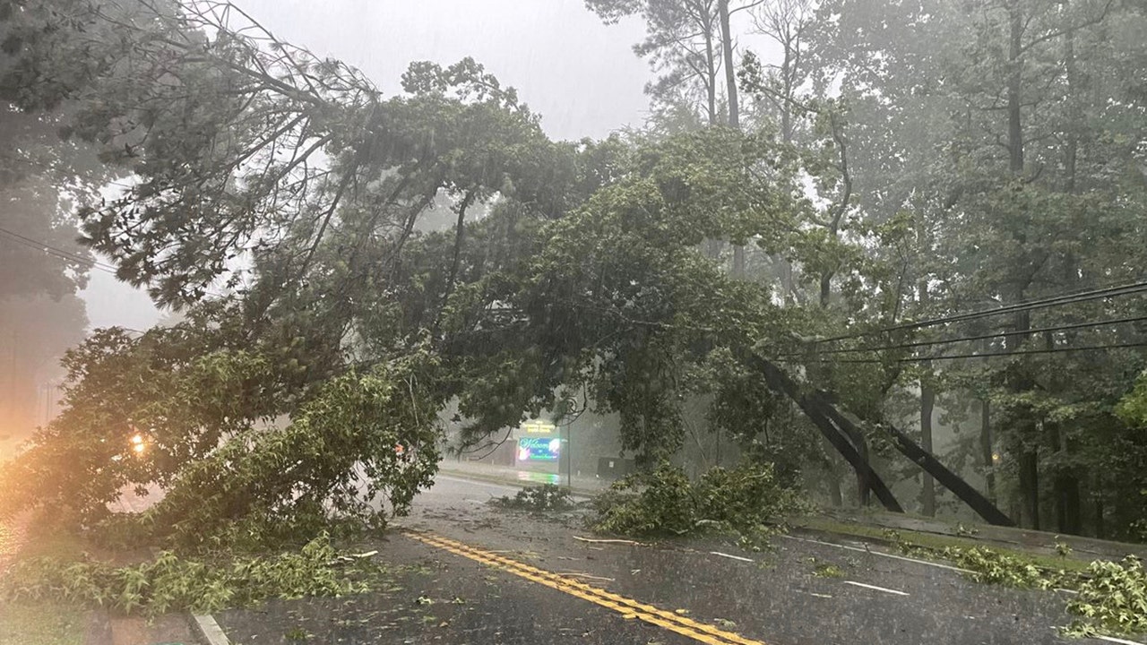 News :Georgia man crushed by falling tree during severe thunderstorm; thousands without power