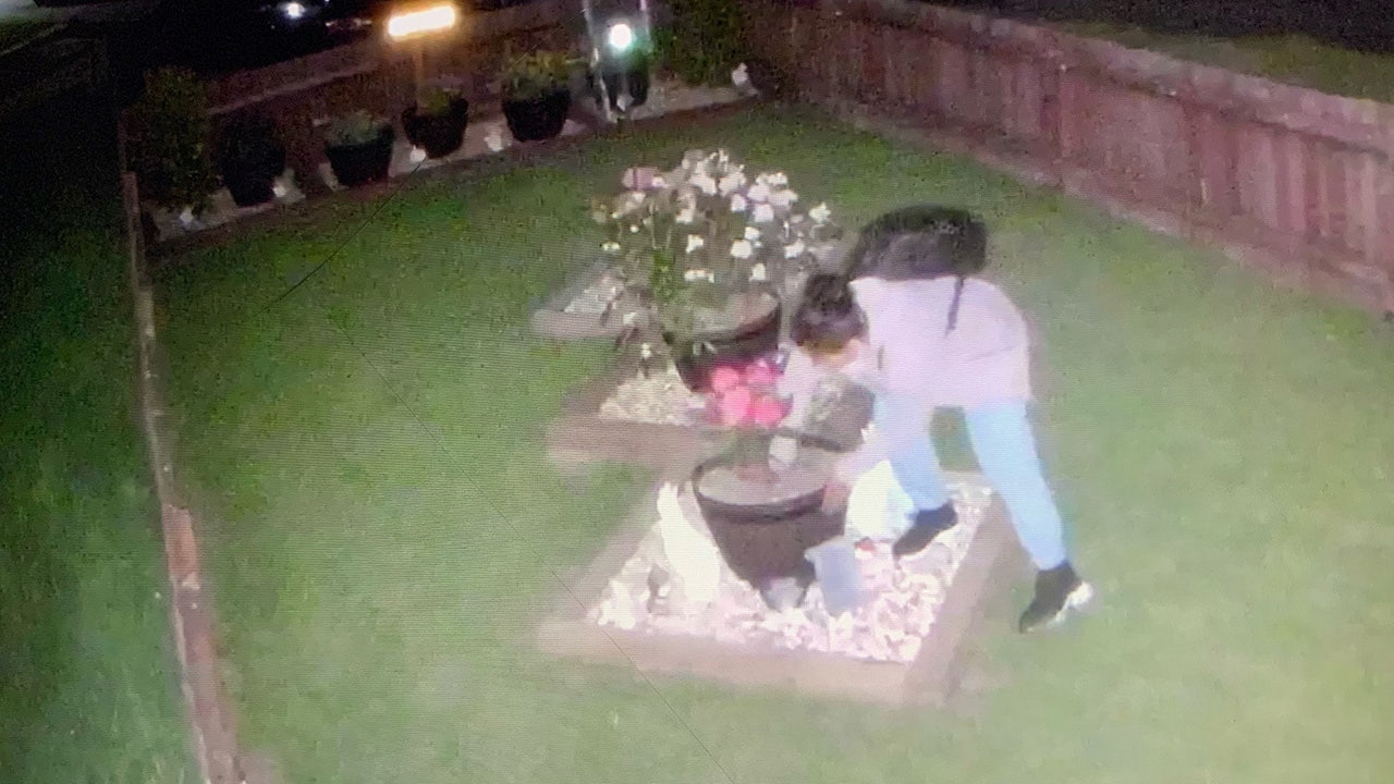 'Plant'-ed evidence: Police say garden thief has been caught on video