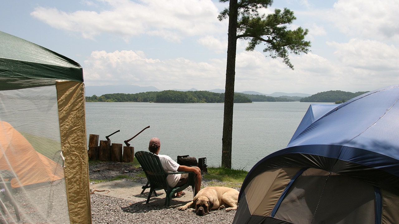 III. Preparing for a Camping Trip with Your Dog