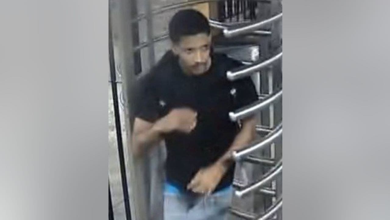 New York City suspect put 24-year-old woman in headlock, robbed her: police