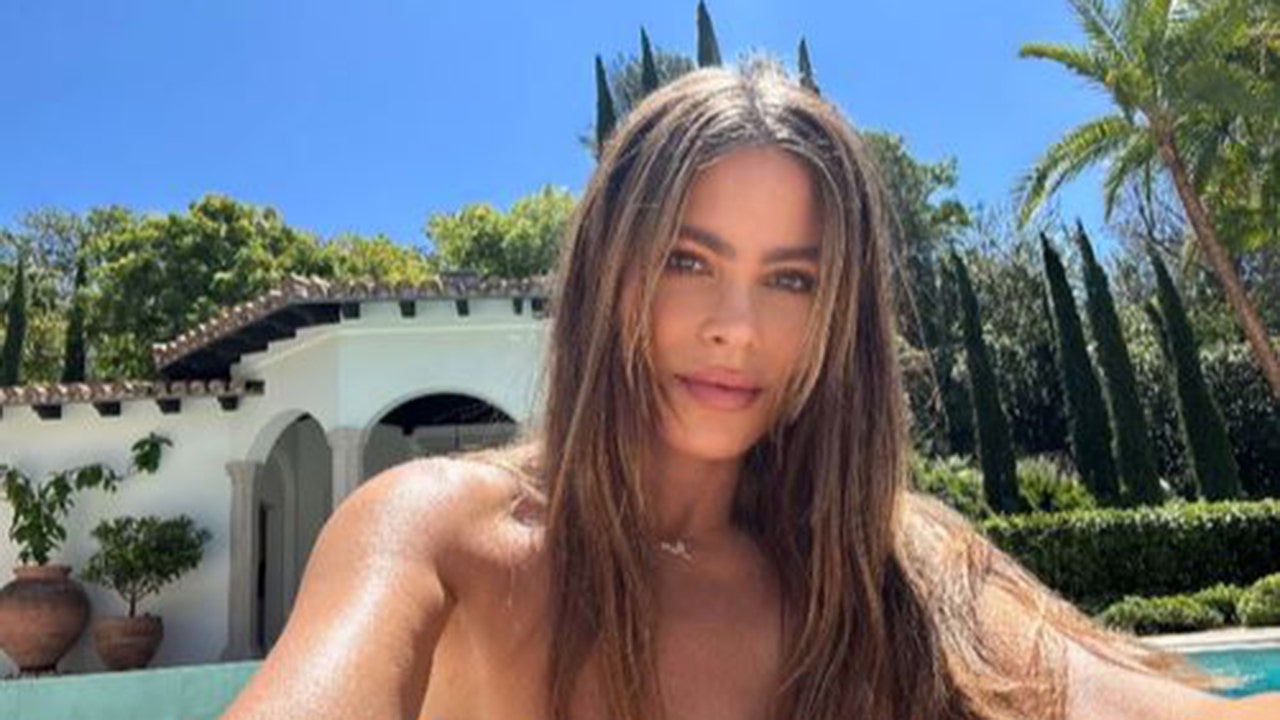 Sofia Vergara Puts Everyone Else's Poolside Selfies To Shame
