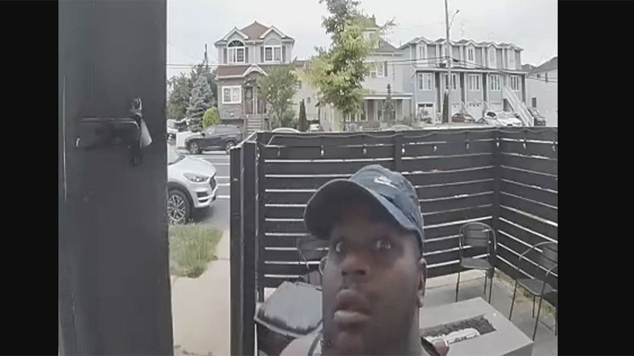 Homeowner clashes with thief in backyard after security camera catches break-in attempt