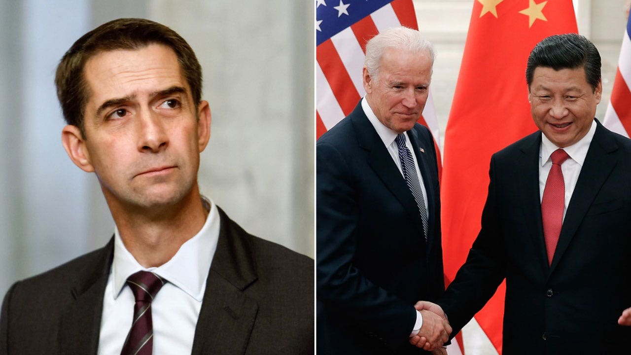 GOP senator slams Biden admin relationship with China: ‘love-struck teenagers’