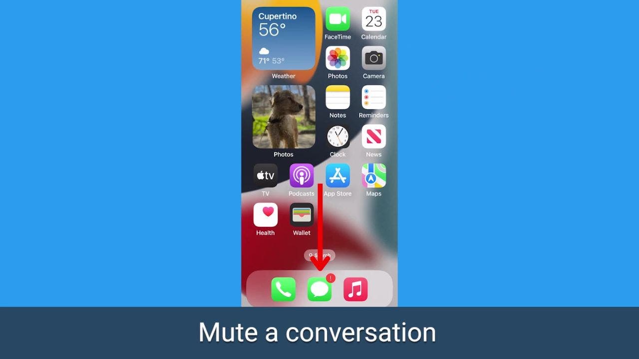 Capture d'écran de l'iPhone