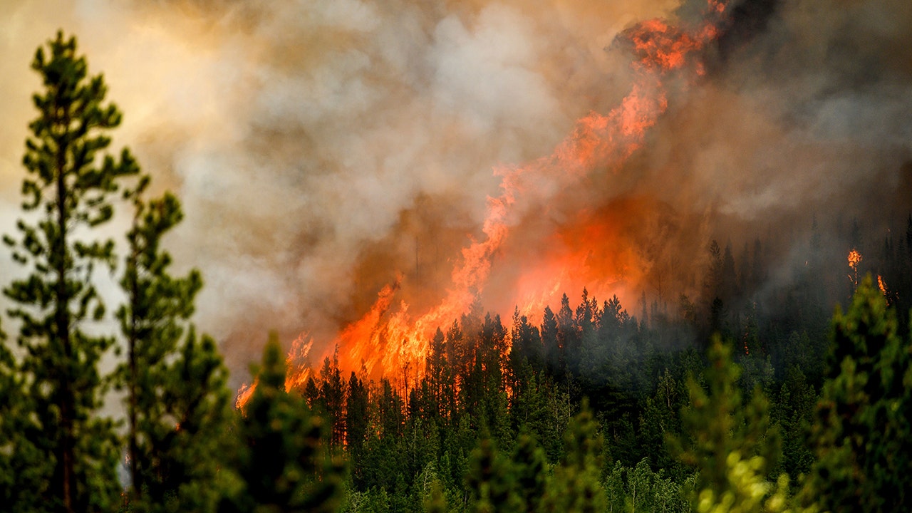 مع استمرار احتراق المئات من حرائق الغابات الكندية ، أصبحت قافزات الدخان ضرورة في بعض المناطق