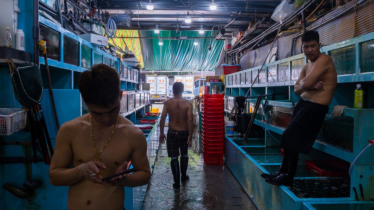 تستعد شركات المأكولات البحرية في هونغ كونغ لحظر الاستيراد الياباني بسبب تلوث مياه الصرف النووي