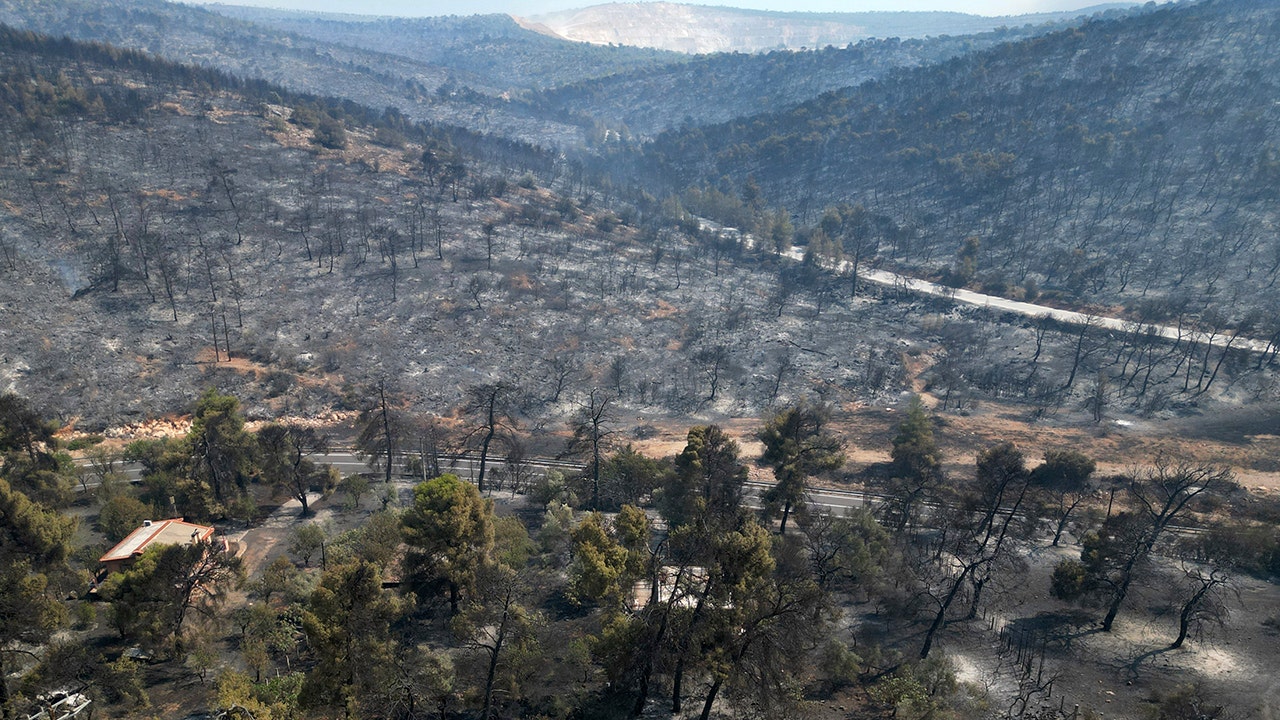 In einem verbrannten Wald ist ein beschädigtes Haus zu sehen
