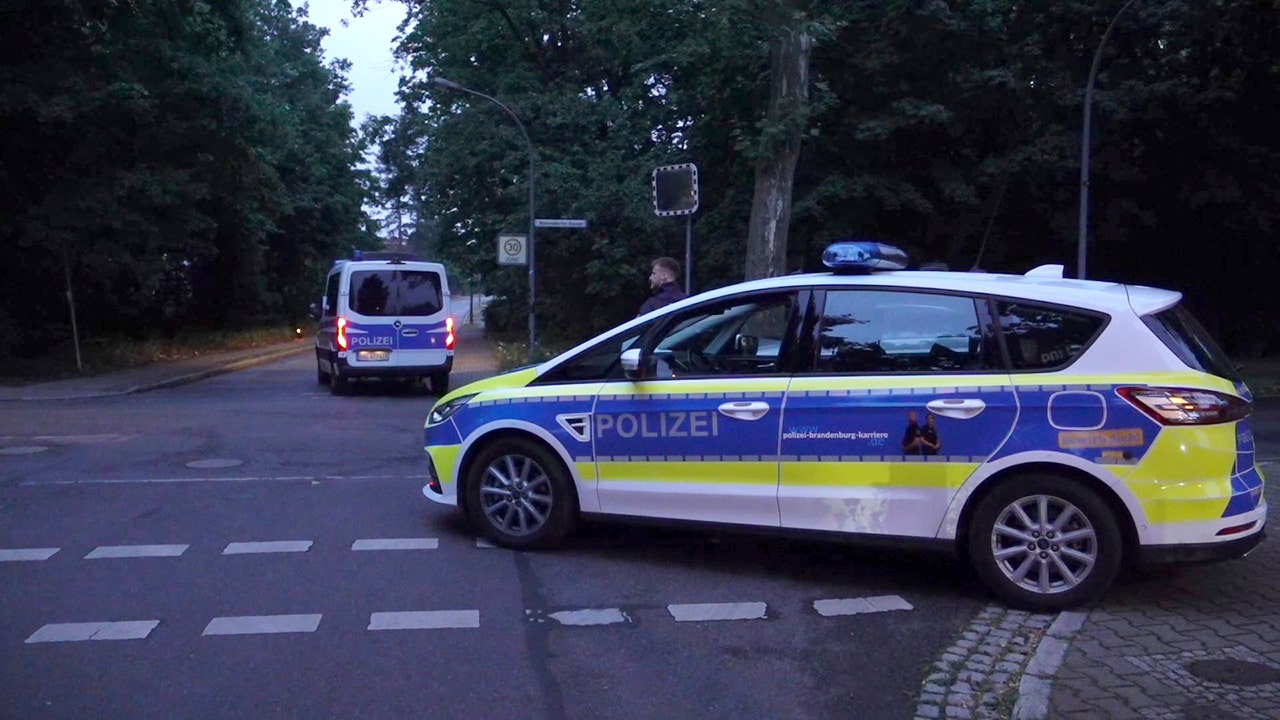 تبحث السلطات الألمانية عن أسد يشتبه في أنه طليق حول برلين