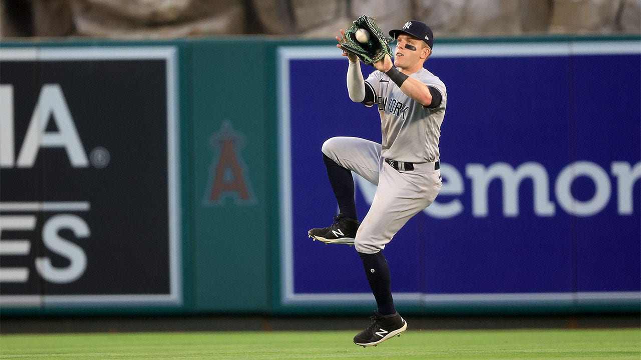 Harrison Bader catches fly ball