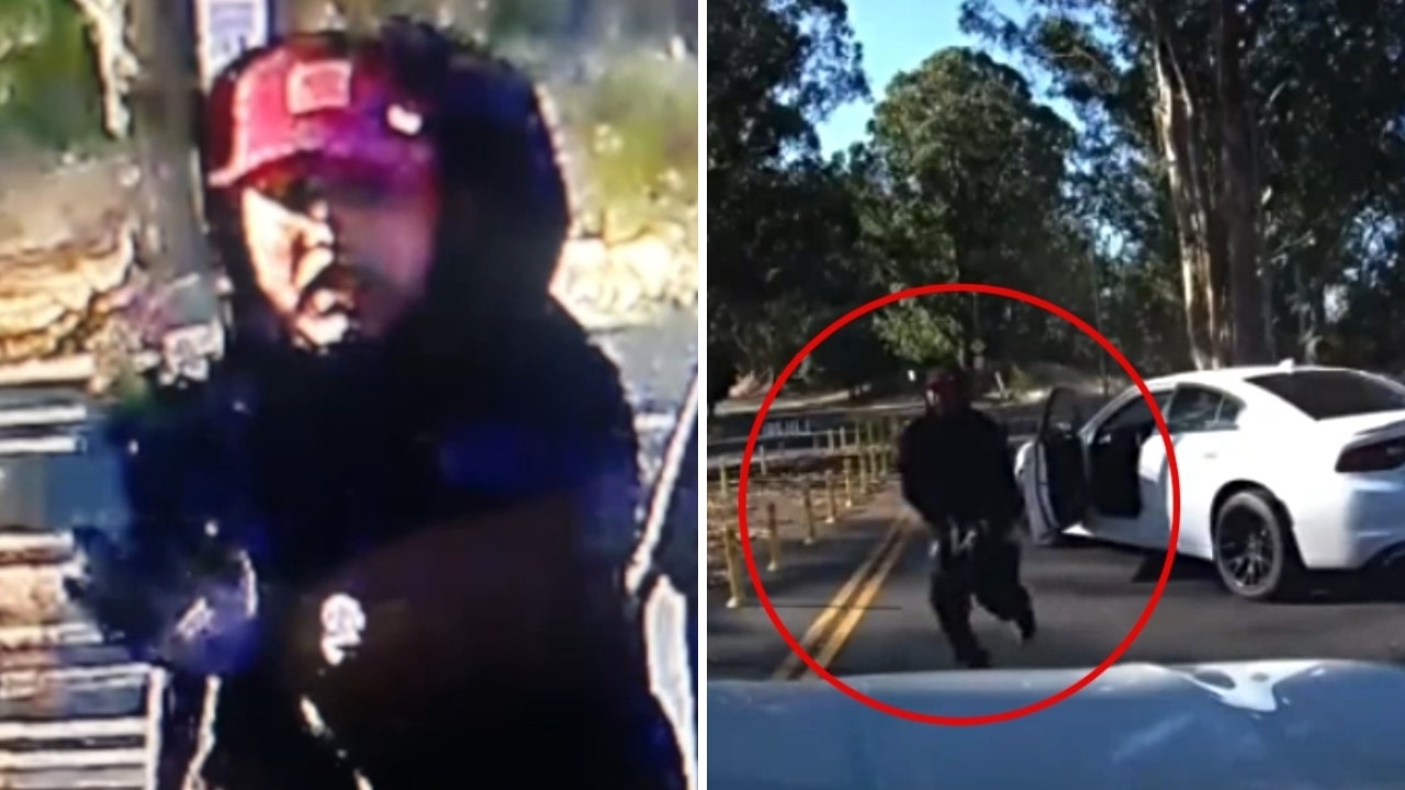 Watch California woman escape armed carjackers blocking street: 'You've got to be aware'