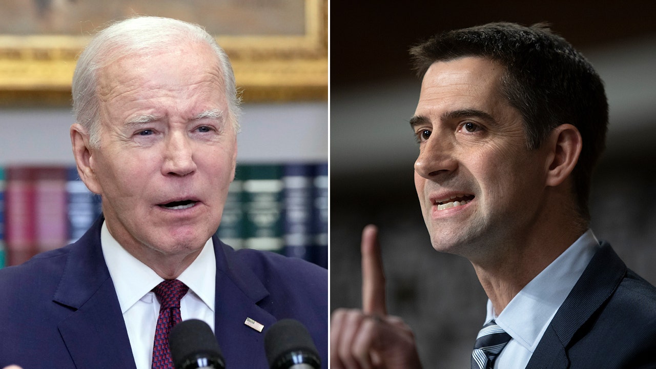 Tom Cotton says Biden's 'indecision' hurting Ukraine: 'Pussyfooting around for a year and a half'