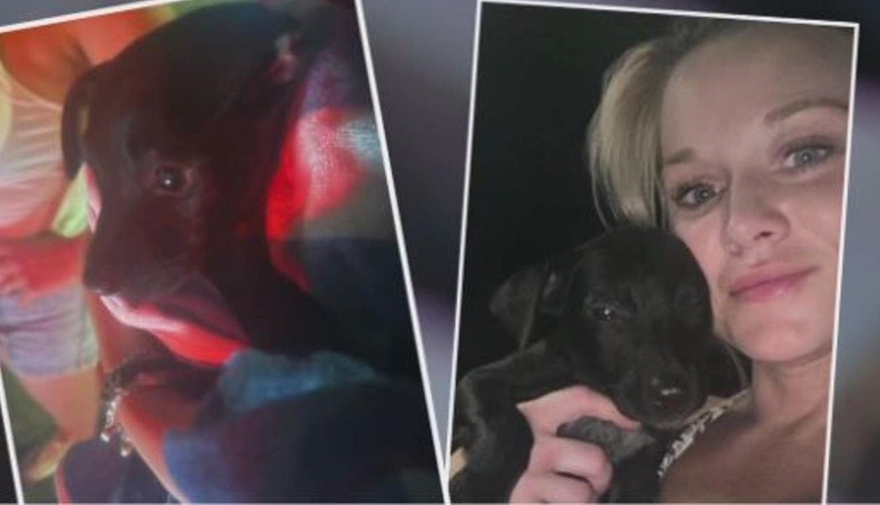 Texas woman searches for puppies