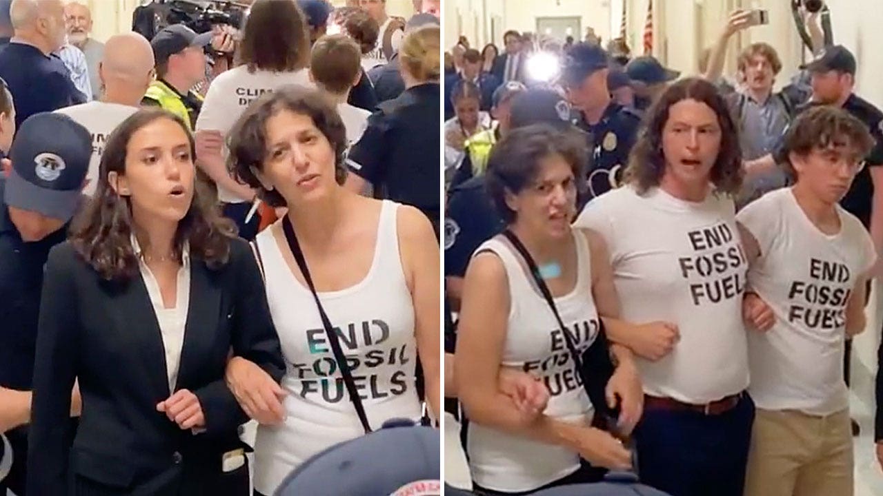 Climate protesters arrested on Capitol Hill, placed in restraints amid IRS whistleblower hearing