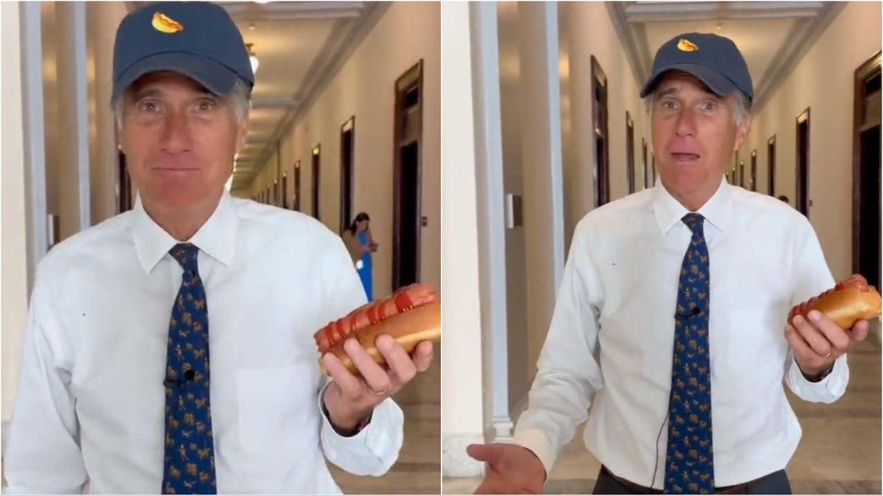 Mitt Romney-Hotdog