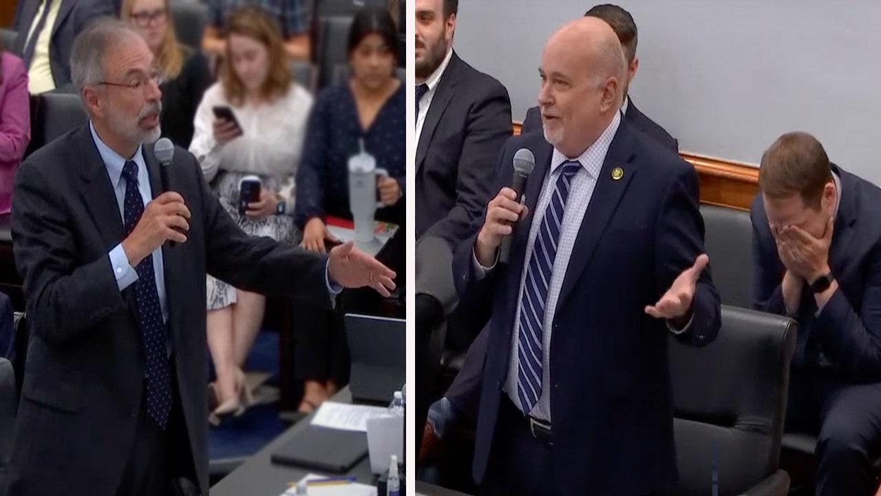 GOP rep screams at Dem for trolling him with insults in clash on LGBTQ organizations: 'Snowflake can melt'