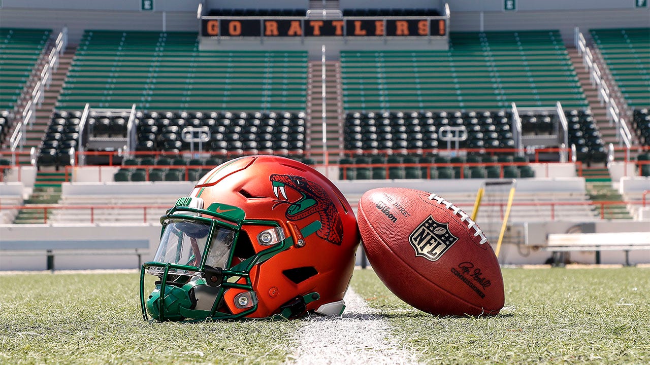 NFL Football and Florida A&M helmet