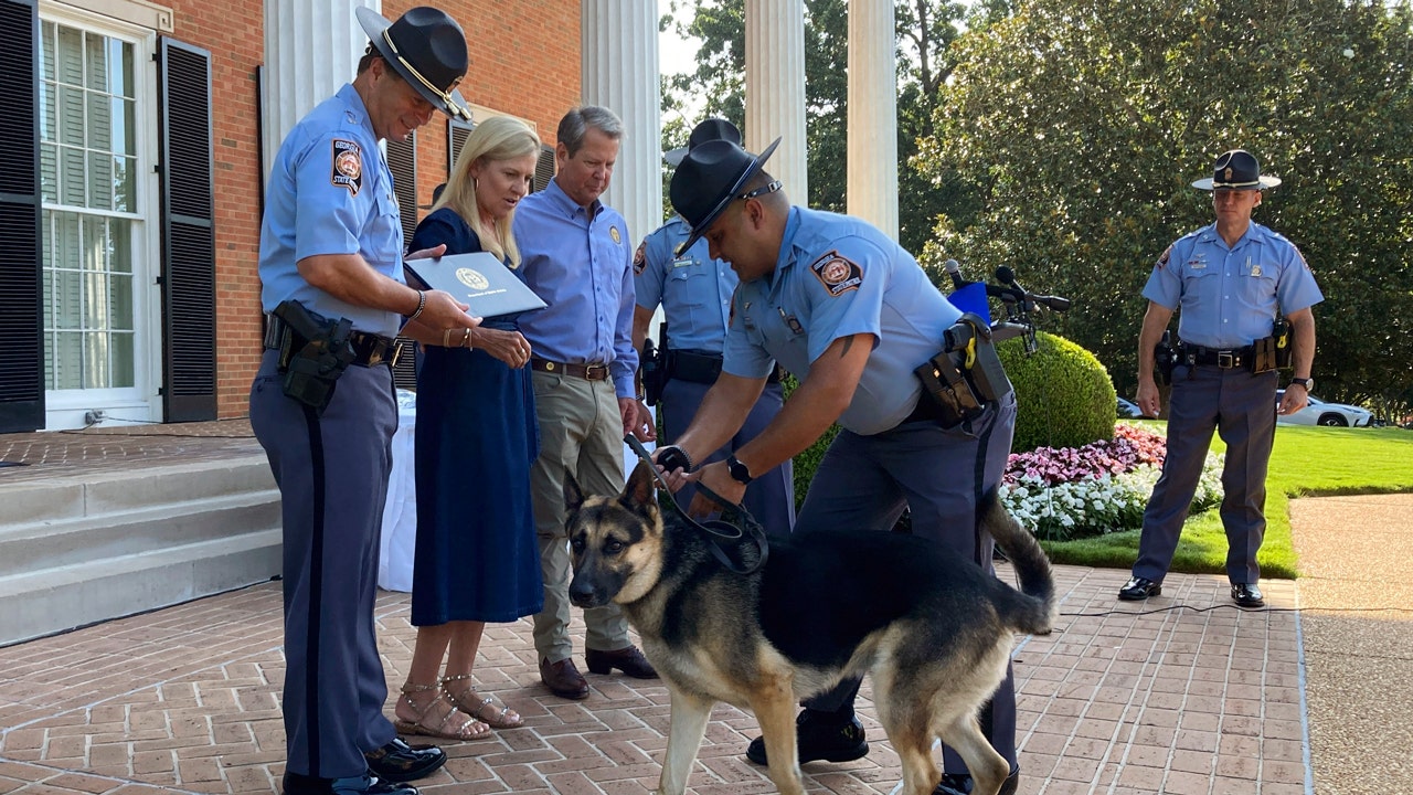 Georgia State Patrol Welcomes 12 New K 9 Officers Including Rescued 