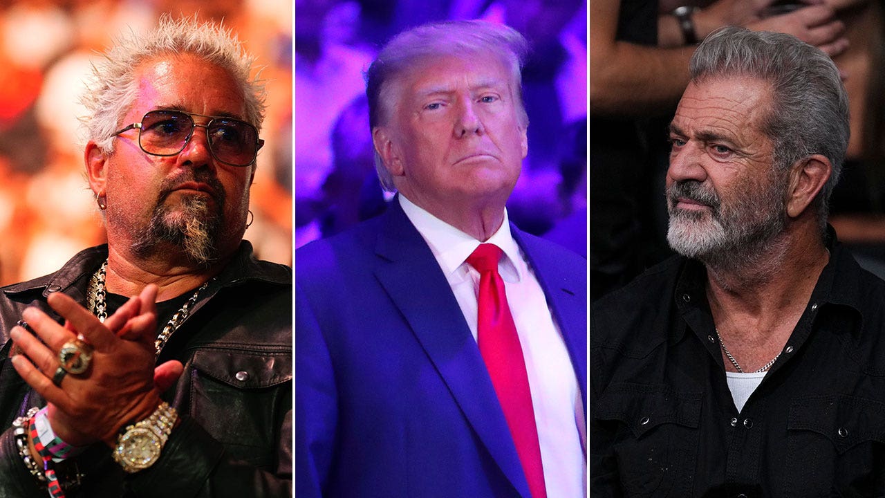 Guy Fieri, Mel Gibson, others singled out by rocker as 'disgusting' for talking to Trump at UFC Vegas event