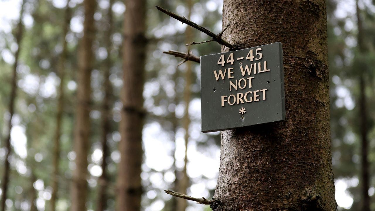 "We Will Not Forget" sign in German forest