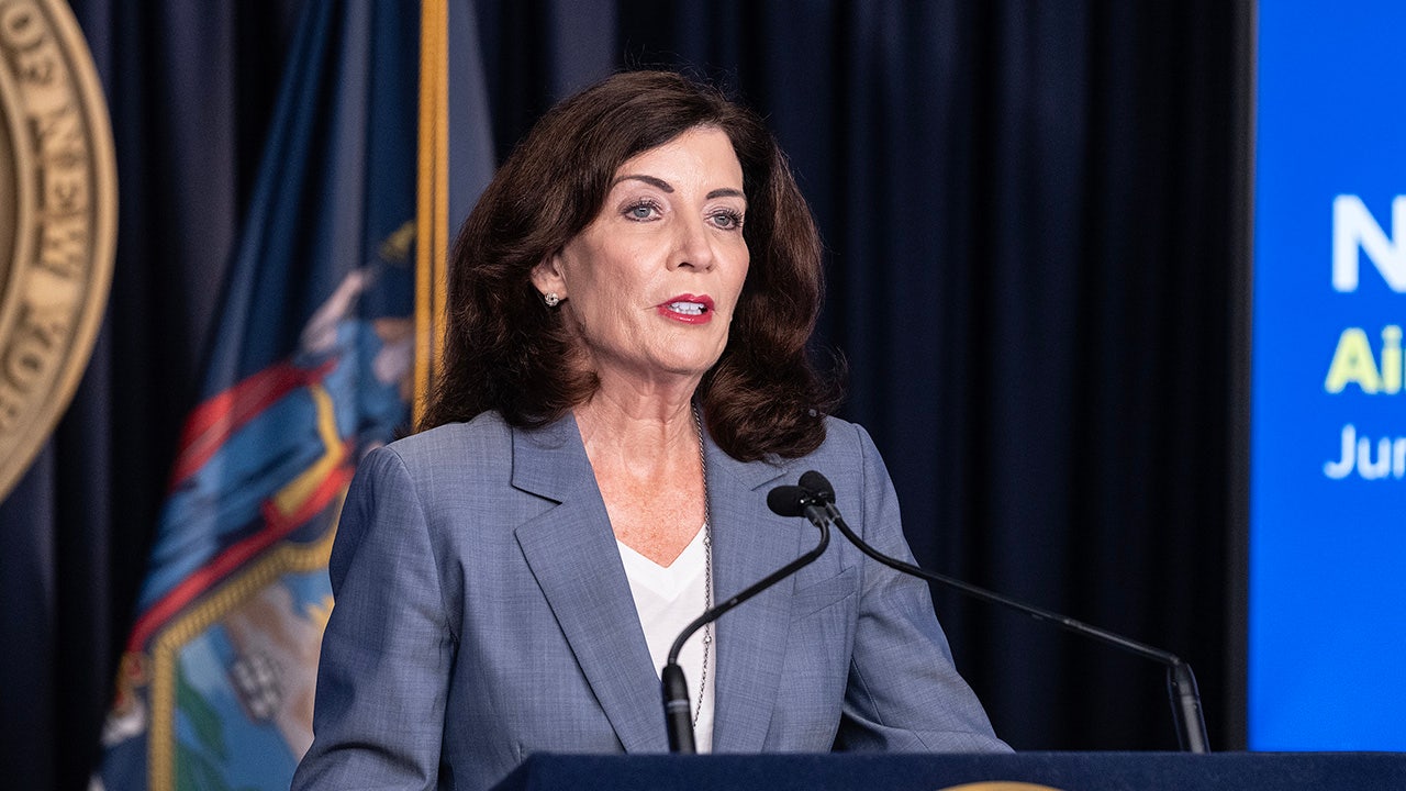 
                            New York Gov Hochul wants to ‘limit’ who crosses border, says it’s ‘too open right now’