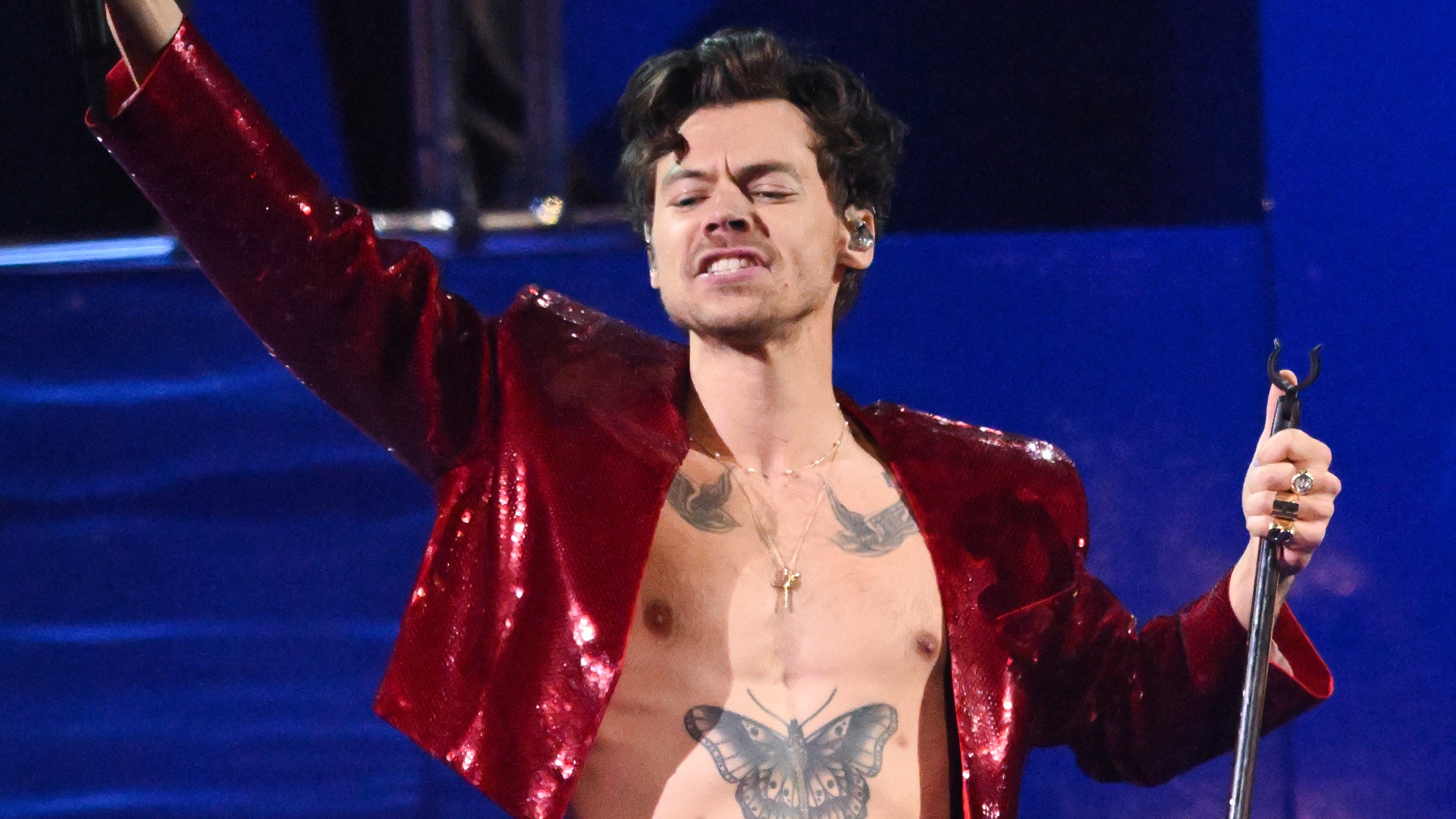 Harry Styles was hit by an unknown object while onstage in Vienna, following several similar incidents with other musical artists including Bebe Rexha, Kelsea Ballerini and Pink. (Karwai Tang/WireImage)