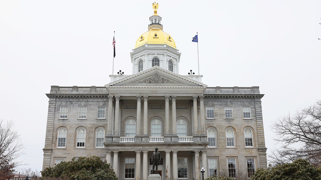 New Hampshire Dems vote to ban child sex changes, young liberal lawmaker decries 'irreversible surgeries'