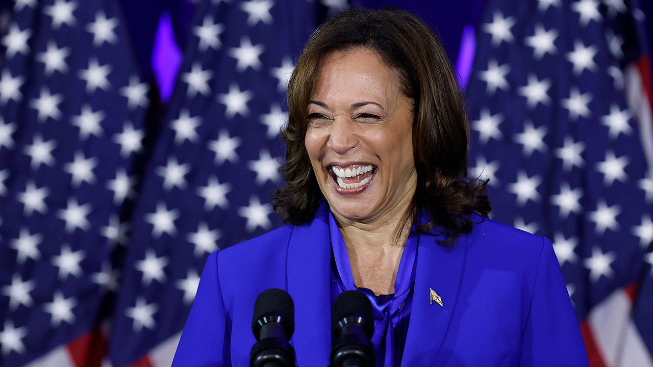 Twitter users slam Kamala Harris for airplane bathroom demand amid the ongoing border crisis: 'Really?'