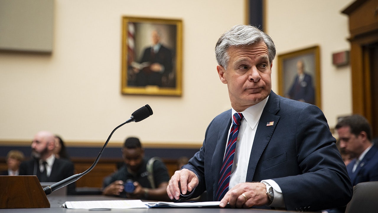 GOP rep challenges Wray over court ruling on FBI suppression of conservative free speech: ‘You should read it’