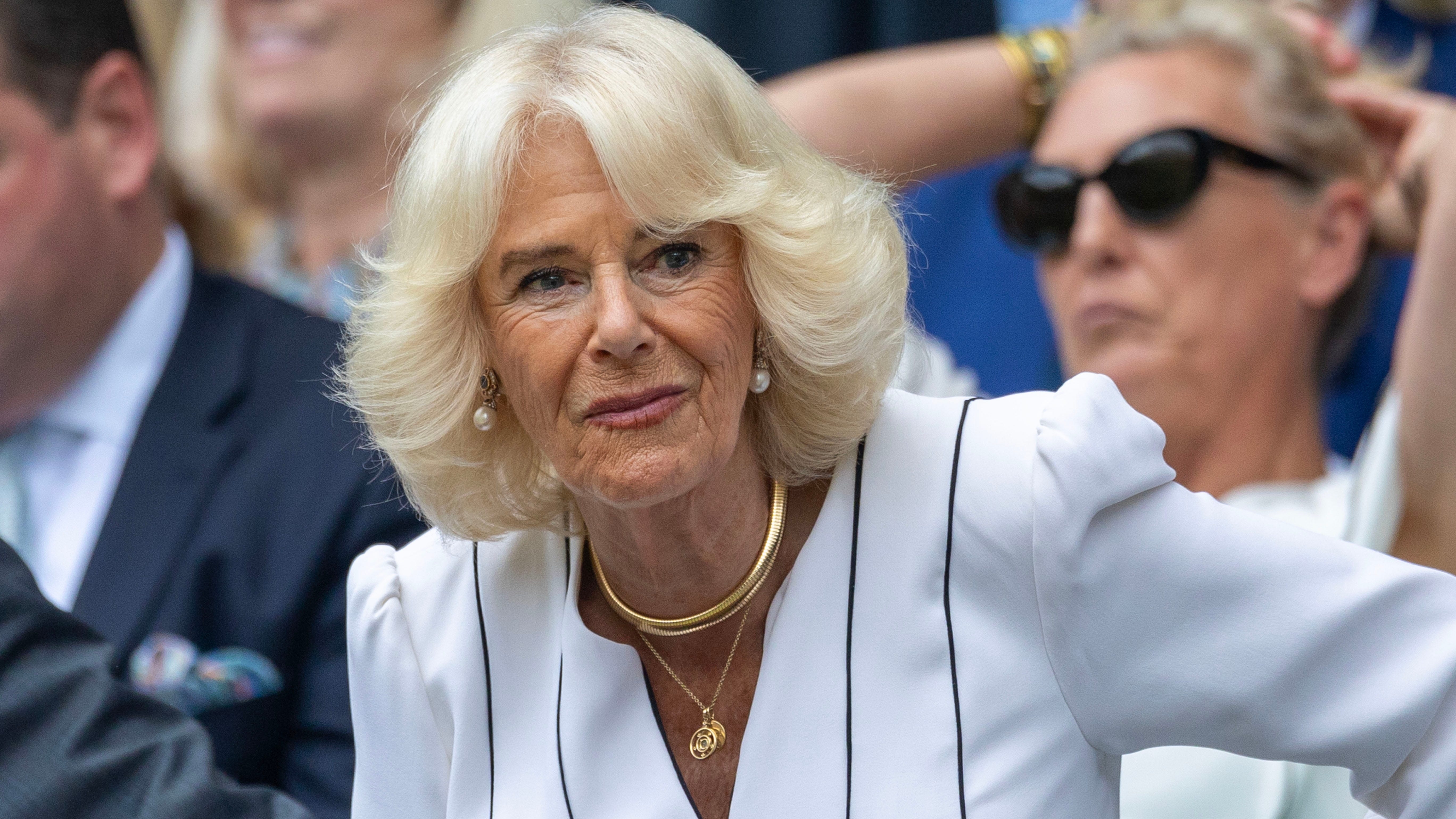 Queen Camilla reveals her surprising job before becoming a royal