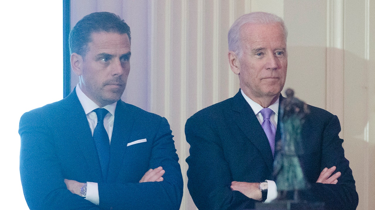 Hunter Biden's friend to tell Congress then-VP Joe joined dozens of son's business meetings via phone: report