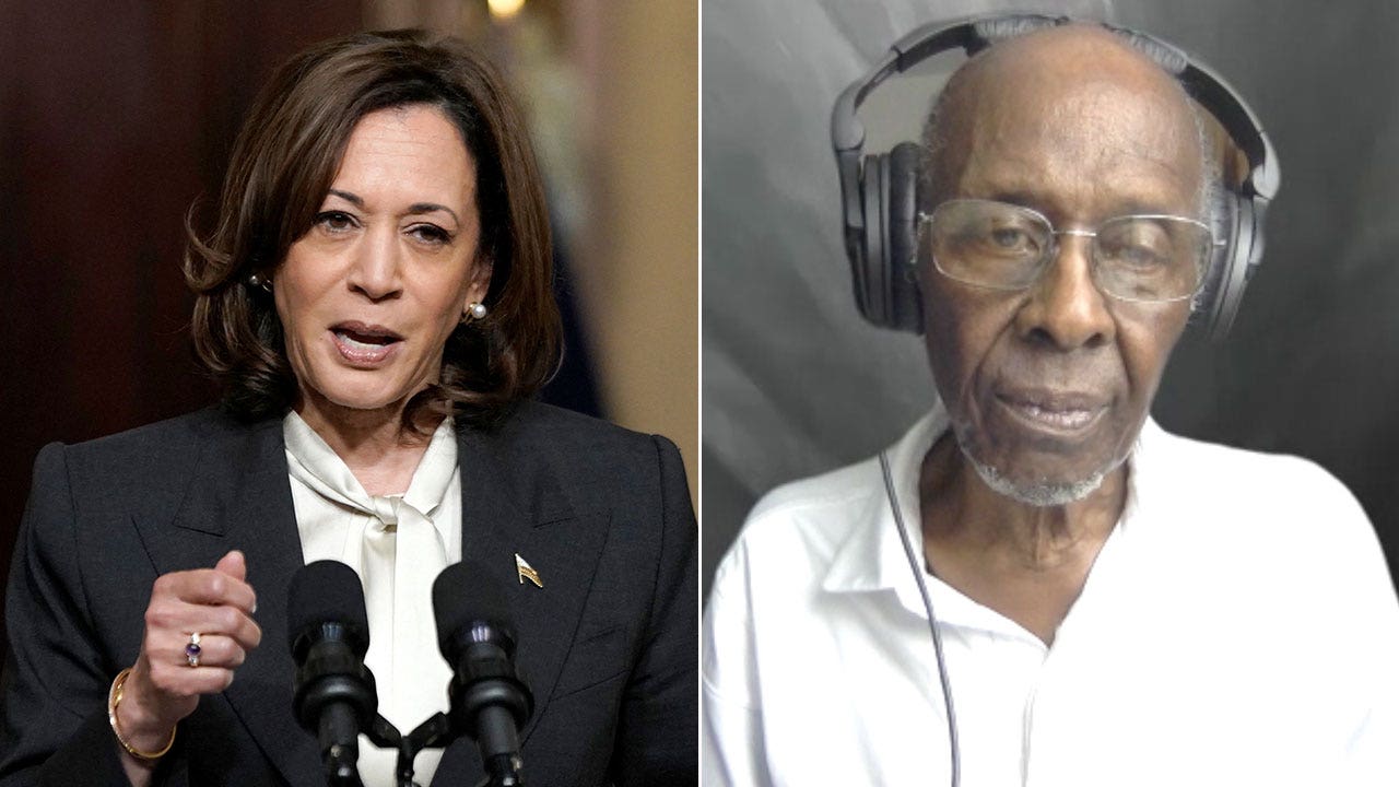 Media running wild with Kamala Harris’ 'lie' on Florida's Black history education, curriculum co-author says