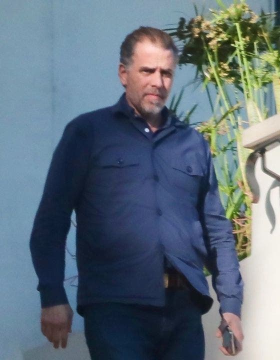 Hunter Biden in Malibu