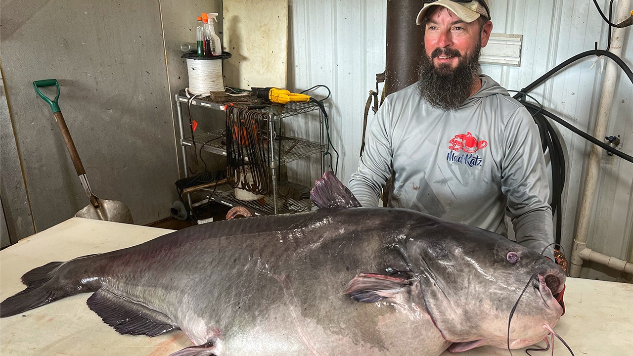 Massive 122-pound catfish caught in Tennessee breaks state record