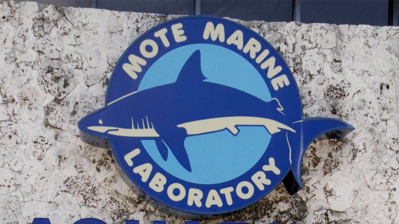 Mote Marine Laboratory & Aquarium