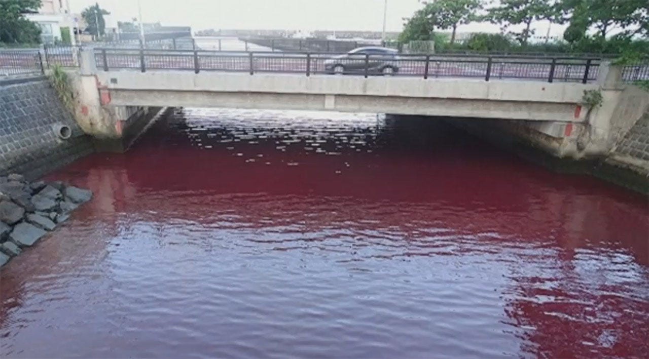 WATCH: Brewery leak turns famously crystal-clear sea water a 'gruesome' color