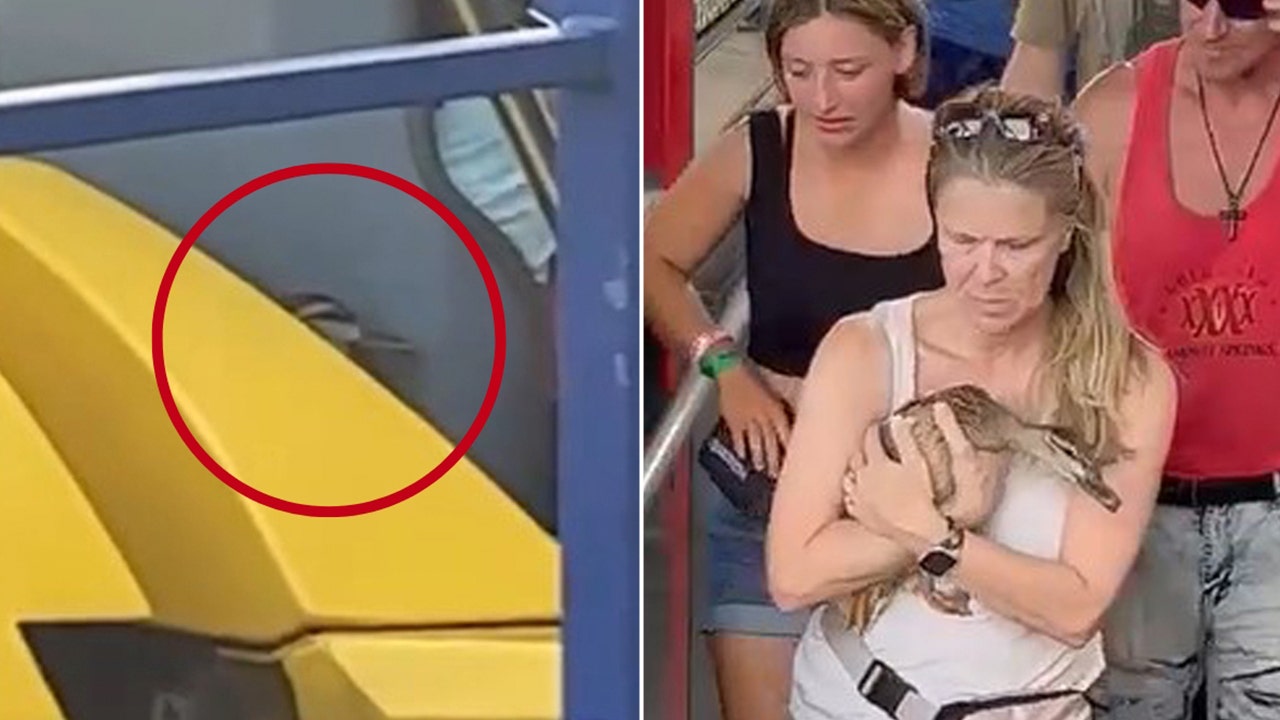 Unexpected Extra Passenger Found on Wild Ride at Ohio’s Cedar Point Amusement Park