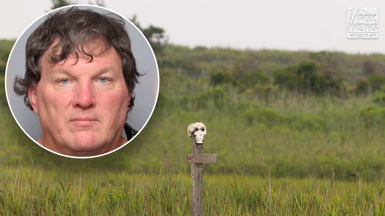 Suspected Long Island serial killer's duck hunting could have been perfect  cover for hiding bodies