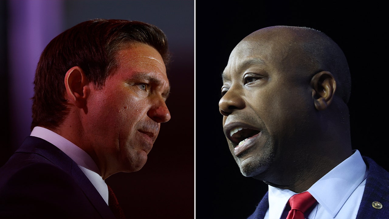 Ron DeSantis and Tim Scott