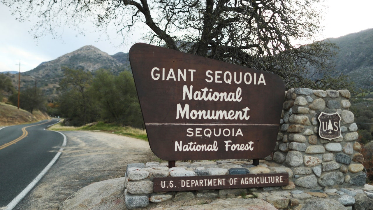 California National Park Service rangers hunt for a man with knife in Sequoia National Park