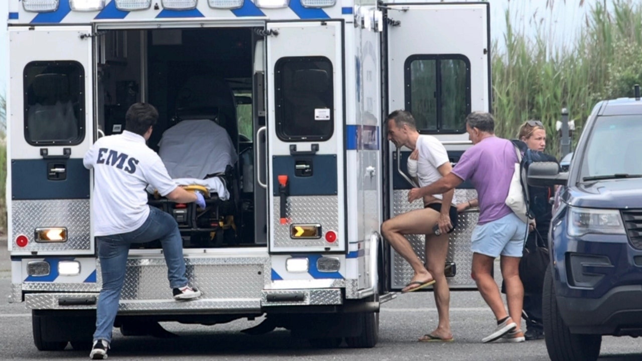 More New York shark bites force police to increase beach patrols