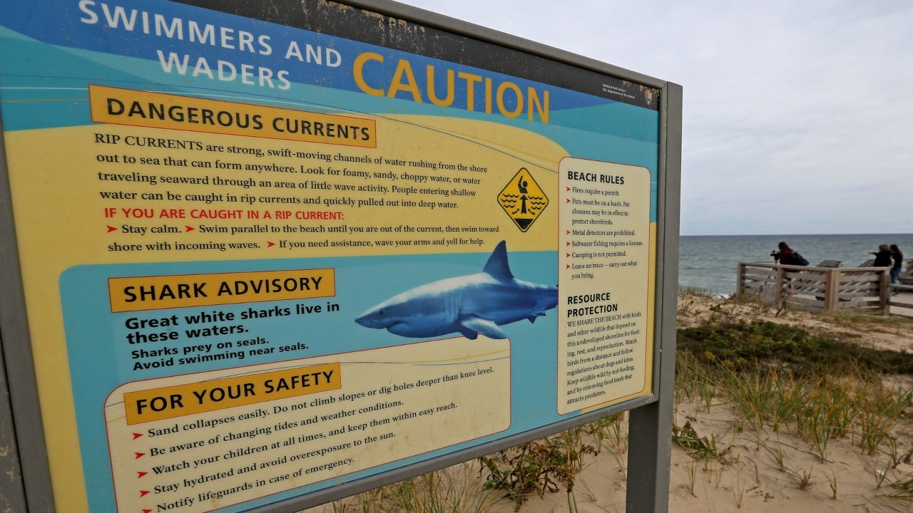 New Shark Fishing Requirements Go into Effect July 1, Permit