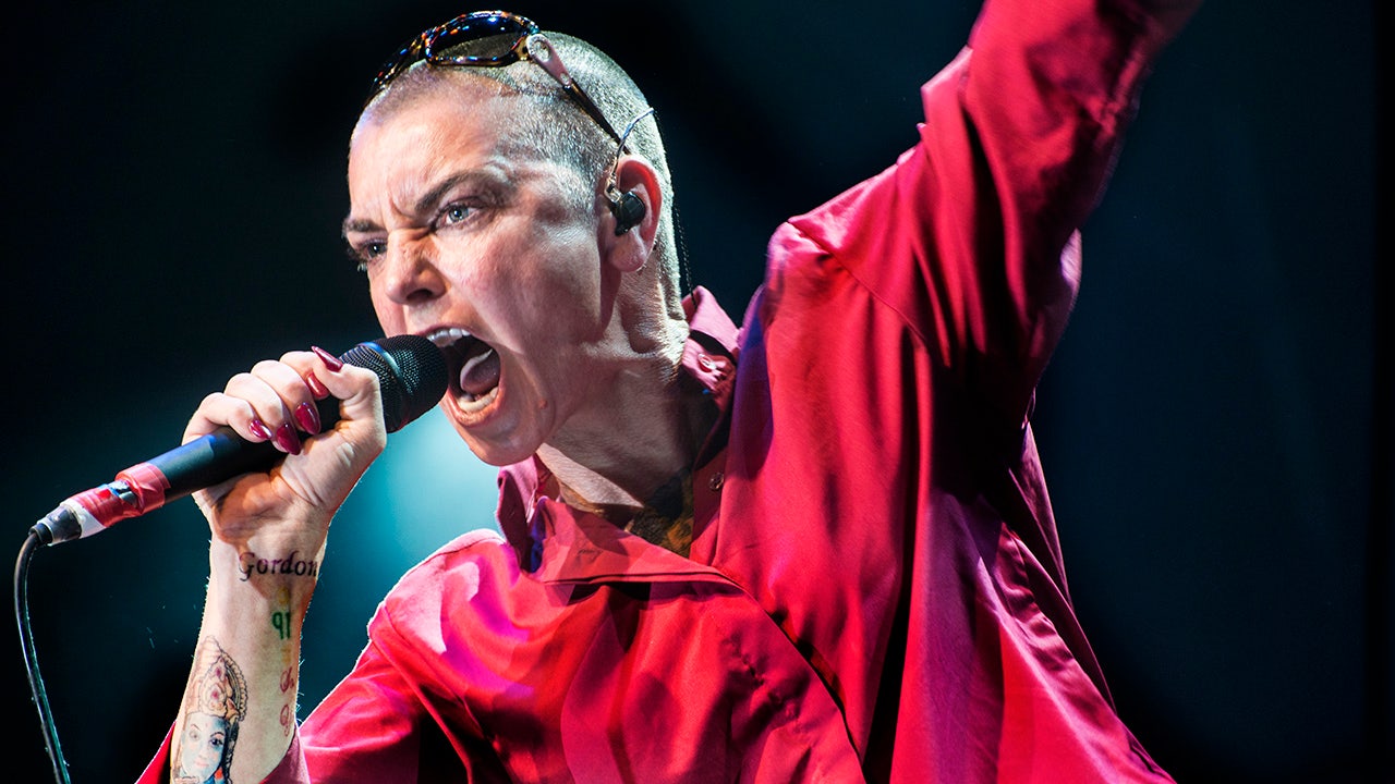 Sinead O'Connor at WOMAD