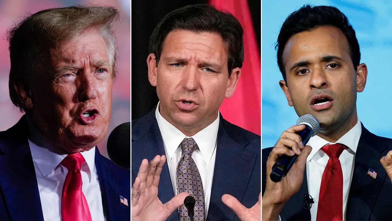 Ending birthright citizenship for children of illegal immigrants gains steam in GOP 2024 field